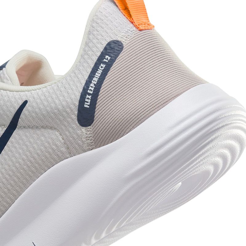 Nike Flex Experience Run 12 Men's Road Running Shoes
